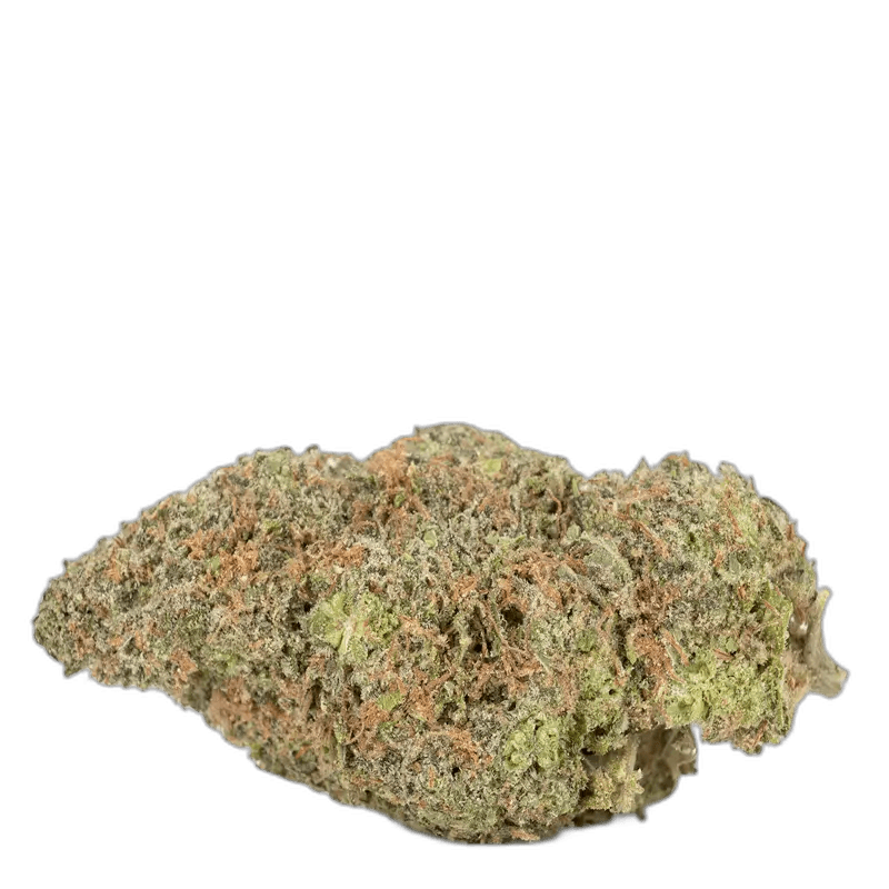 Gelato