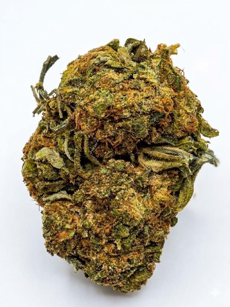Critical OG